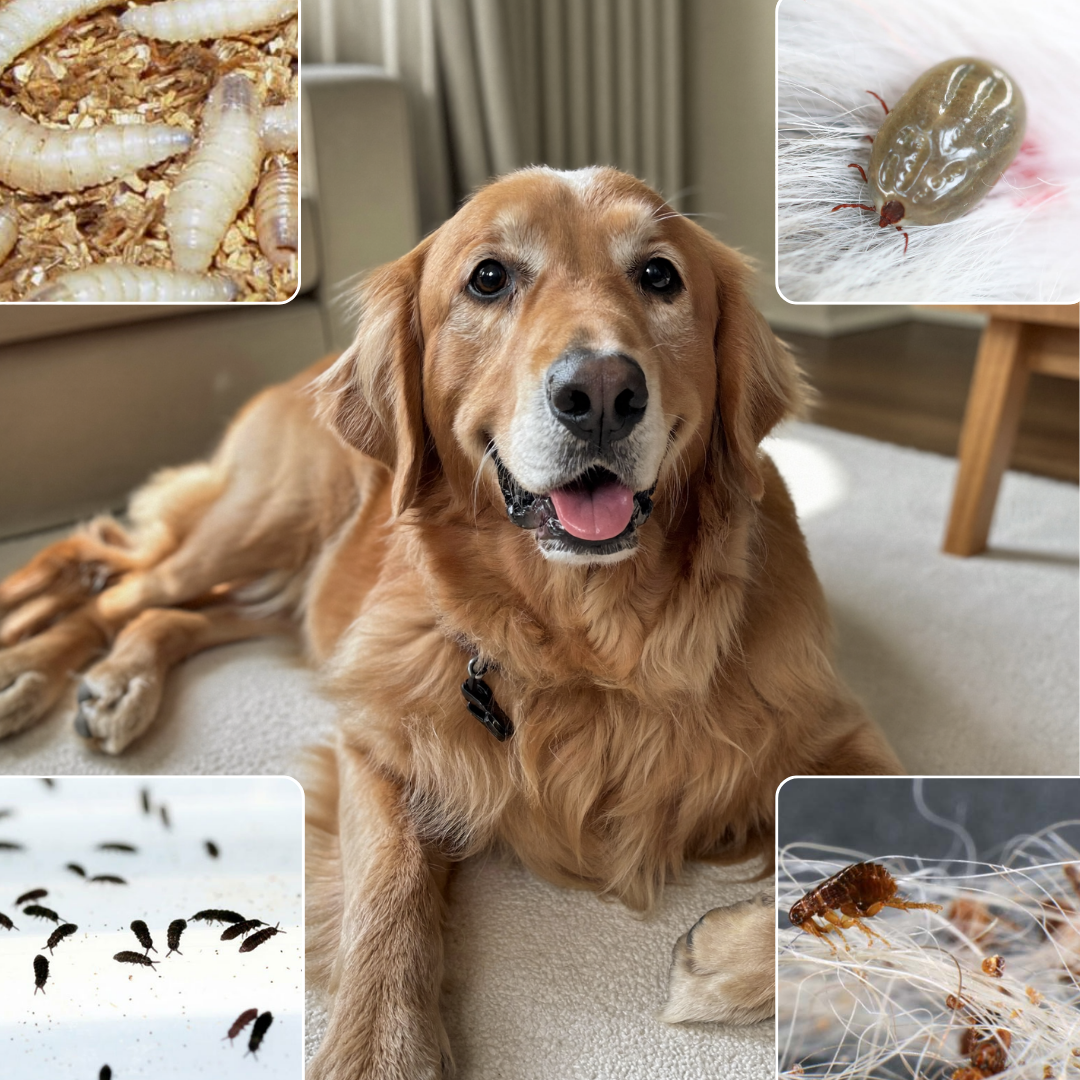 FreshPaws™-Protección Total Contra Parásitos